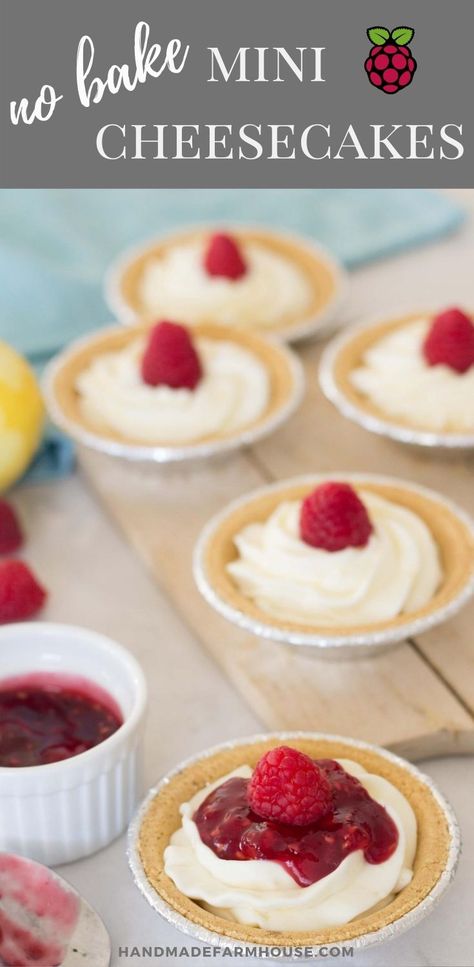 Mini Cheesecakes Pies, Mini No Bake Pies Graham Crackers, Sweet Tart Filling Ideas, Easy Individual Cheesecakes, Mini Cheesecake Pies, Mini Cheese Cakes Recipes Easy No Bake, Mini Nobake Cheesecake, Quick And Easy Desserts For Parties, Mini Cherry Cheesecakes No Bake