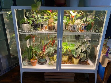 Ikea Milsbo Wide Greenhouse, Plant Cabinet Display, Milsbo Greenhouse, Ikea Milsbo, Plant Cabinet, Plant Decoration Ideas, Plant Shelf Ideas, Greenhouse Cabinet, Ikea Greenhouse