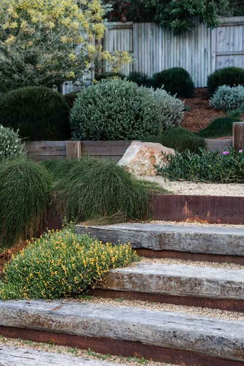 Australian Garden Design, Landscape Stairs, Australian Native Garden, Garden Stairs, Tiered Garden, Sloped Garden, Australian Garden, Garden Steps, Coastal Gardens