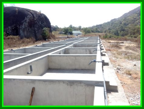 Fish Farming Ponds, Tilapia Fish Farming, Cement Pond, Tilapia Farming, Aquaculture Aquaponics, Catfish Farming, Aquaculture Fish, Aquaponics Greenhouse, Pond Construction