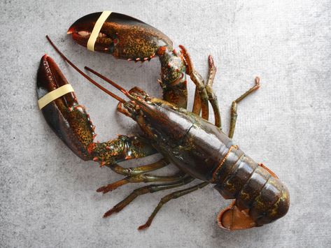 How To Cook Lobster - Genius Kitchen Crayfish Tails, Cook Lobster, Frozen Scallops, Carolina Bbq Sauce, Bratwurst Sausage, Live Lobster, Roasted Ham, Blue Lobster, Cooking The Perfect Steak