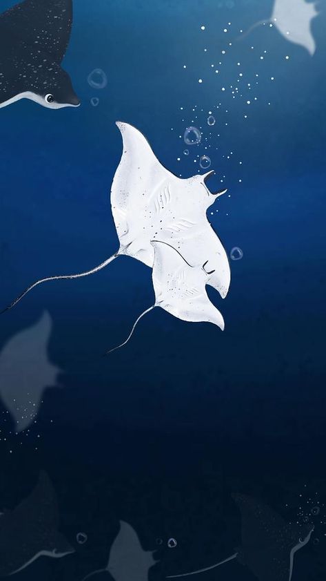 Stingray Wallpaper Aesthetic, Mantaray Wallpaper, Stingray Background, Sting Ray Wallpaper, Manta Ray Wallpaper, World Iphone Wallpaper, Stingray Wallpaper, Iphone Wallpaper Dark, Dark Mother