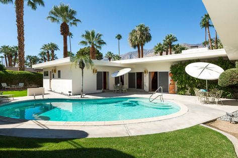 Kidney Pool, Palm Springs Backyard, Landscaping Lighting, Swimming Pool Design Ideas, Kidney Shaped Pool, Palm Springs House, Pool Design Ideas, Pool Contractors, Cottage Retreat