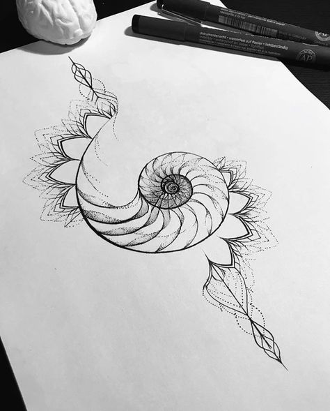 7 Minimalist Tattoos Ideas for Ocean Lovers Nature Mandala Tattoo, 27 Tattoo, Fibonacci Tattoo, Spiral Tattoos, Shell Tattoos, Linework Tattoo, Tattoo Meanings, Sacred Geometry Tattoo, Muster Tattoos