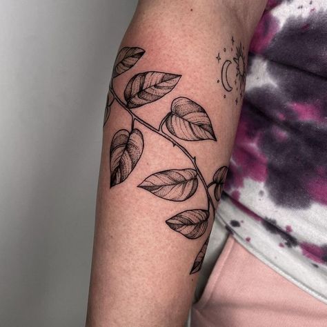 Tree Branch Shoulder Tattoo, Heart Leaf Philodendron Tattoo, Pothos Leaves Tattoo, Pothos Leaf Tattoo, Fiddle Leaf Tattoo, Pothos Tattoo Black And White, Pathos Vine Tattoo, Pothos Tattoo Sleeve, Botanical Tattoo Stencil