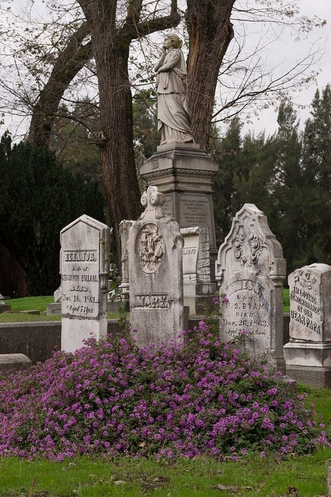 View of Sacramento California's Old City Cemetery - PICRYL Public Domain Image Free Images No Copyright, Headstone Inscriptions, Public Domain Photos, Old Cemeteries, Free Pics, Sacramento California, Public Domain Images, Old City, Golden State