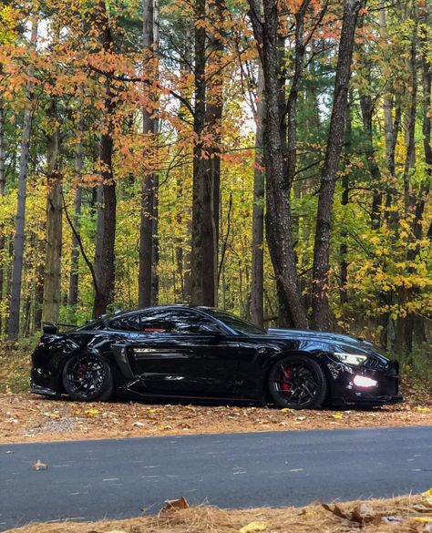 Mustang Gt 5.0 Black, All Black Mustang, 2018 Mustang Gt, Black Mustang Gt, Saleen Mustang, Mobil Mustang, Black Mustang, Muscle Cars Mustang, New Mustang