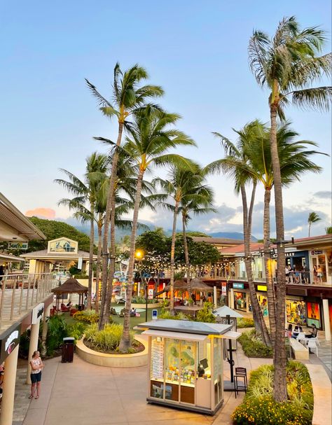 Rich Hawaii Aesthetic, Hawaii Shopping Mall, Hawaii Holiday Aesthetic, Tropical Town Aesthetic, Tropical City Aesthetic, Hawaii Market, Houses In Hawaii, Tropical Island Aesthetic, Hawaii Lanai