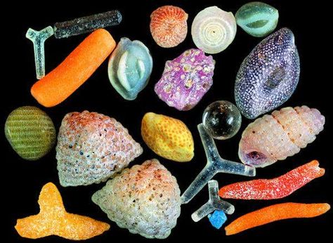 Sand Under Microscope, Alien Fish, Under Microscope, Under A Microscope, Divine Mother, Grain Of Sand, Things Under A Microscope, Art Style Inspiration, Color Textures