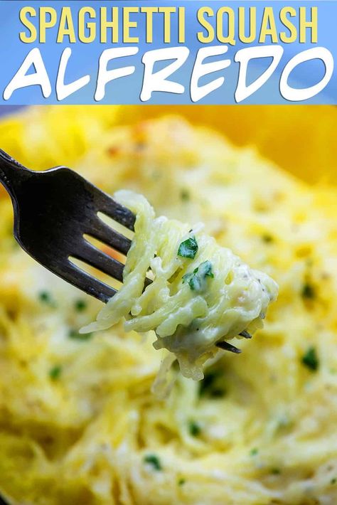 Spaghetti Squash Alfredo Spaghetti Squash Recipes Chicken, Squash Ideas, Spaghetti Squash Recipes Vegan, Spaghetti Squash Chicken Alfredo, Spaghetti Squash Alfredo, Keto Alfredo, Squash Alfredo, Spaghetti Squash Recipes Easy, Low Carb Life