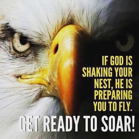 #fly #eagles #uncaggedbird Eagle Quotes, Eagles Quotes, Saving Quotes, Gods Love Quotes, Cute Attitude Quotes, Christian Motivation, Warrior Quotes, Joker Quotes, An Eagle