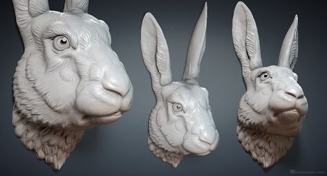 Hare (Rabbit) head 3D model for 3d printing. Digital Sculpting by Voronart Rabbit Anatomy, Cnc Carving, Hare Rabbit, Rabbit Sculpture, Rabbit Head, Digital Sculpting, Digital Sculpture, Head Sculpture, Sculpture Wall