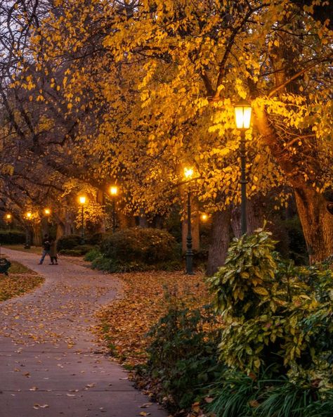 Brimming with history and heritage, take a waltz down any of the charming streets of Bendigo this autumn and you'll fall in love with this regional city. Autumn Walk Aesthetic, Fall At Night, Park In Autumn, Fall Walk, Park Aesthetic, Crunchy Leaves, Autumn Walk, Golden Autumn, Fall Mood