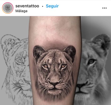 Lion And Lioness Tattoo, Lioness Tattoo Design, Female Lion Tattoo, Leo Tattoo Designs, Lioness Tattoo, Female Lion, Couple Tattoos Unique, Lion Head Tattoos, Money Tattoo