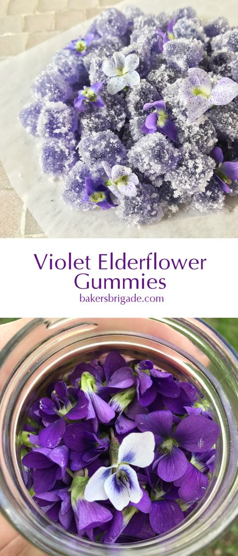 These elegant violet and elderflower gummies are sweet, floral and just a little tart.  You only need a half cup of violet flowers, making this a perfect project for those first precious violets that pop up in the spring. Permaculture, Essen, Lavender Gummies, Witch Recipes, Spring Flavors, Flower Recipes, Kitchen Witch Recipes, Edible Flowers Recipes, Gummies Recipe