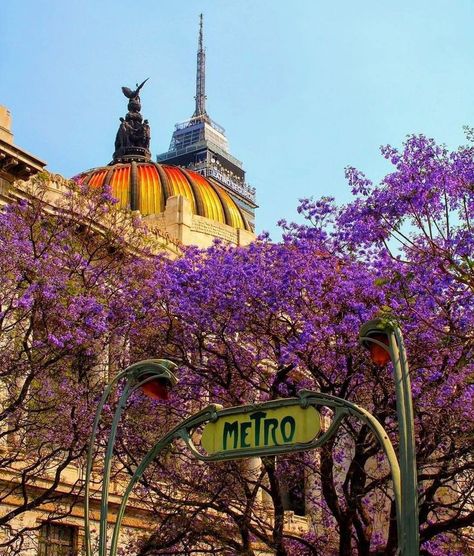 Culture Day, Mexico Culture, Flower Texture, Yucatan Peninsula, City Architecture, Travel Beauty, City Aesthetic, Mexico Travel, Beautiful Architecture