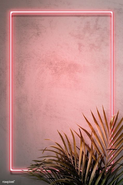 Frühling Wallpaper, Vitrine Design, Neon Frame, Instagram Background, Instagram Frame Template, Framed Wallpaper, Neon Wallpaper, Flower Background Wallpaper, Instagram Wallpaper