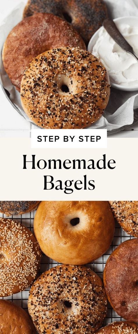 Overnight Bagel Recipe, Bagel Recipe Easy, Bagel Toppings, New York Bagel, Homemade Bagels, Bagel Recipe, Everything Bagel, Bread Recipes Homemade, Tortellini