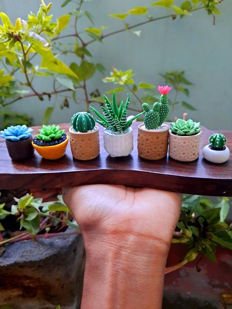 #polymerclayplants Miniature Clay Plants, Clay Crafts Miniature, Polymer Clay Mini Plants, Mini Clay Plants, Plant Clay Art, Mini Clay Crafts, Pottery Miniatures, Polymer Clay Plants, Porcelana Fria Ideas