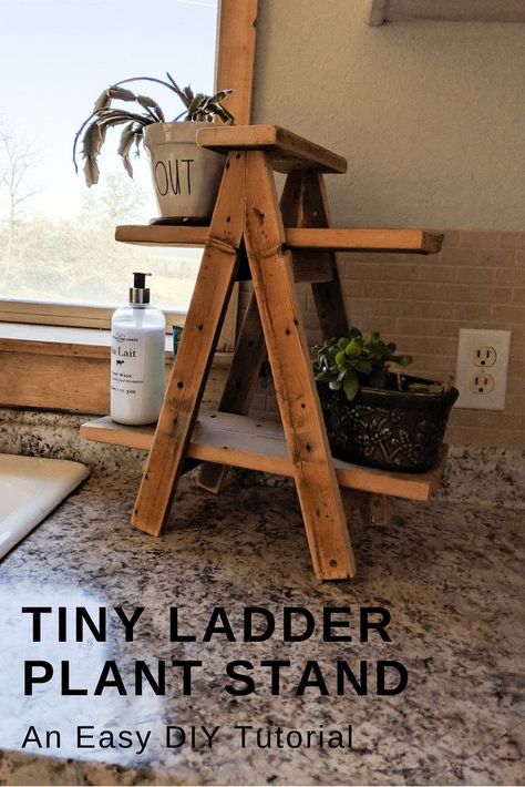 Small ladder plant stand diy tutorial. This easy diy ladder plant stand tutorial is simple and great for anyone with wood scraps to use up. #farmhousedecor #farmhousestyle #ladderdecor #plants #kitchenorganization Diy Ladder Plant Stand, Plant Stand Diy, Drill Bit Sharpening, Ladder Plant Stand, Small Ladder, Diy Ladder, Wood Projects For Beginners, Wood Crafting Tools, Wood Scraps