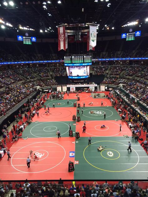 2014 Ohio State Wrestling Tournament Wrestling Diet, Basketball Facts, Wrestling Tournament, Baylor Basketball, Open Gym, Sports Aesthetic, The Ohio State University, Sports Quotes, Ohio State University