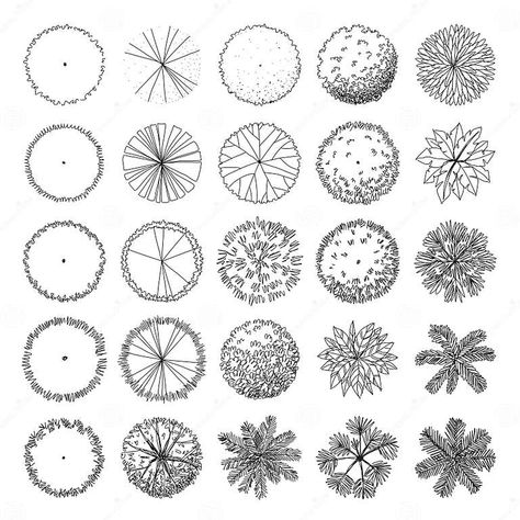 Free Hand Drawn Doodle Plan View Tree Stock Vector - Illustration of foliage, environment: 171295862 Landscape Design Drawings, Landscape Gardening, Landscape Architecture Drawing, Tree Plan, Landscape Sketch, Easy Landscaping, Garden Design Plans, Free Hand Drawing, Plan Drawing