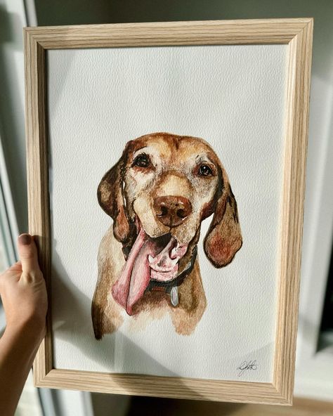 Dog portraits are the best gift you could give any dog lover/owner you know 🌷✍🏼 Some notes below - I have painted Almost 800 dogs over the last 3 years - When supplying your photo, make it the best quality photo you’ve got of them , better the photo… better the Painting - You have the choice of adding their name or not. - comes in size A3 & framed for you! Orders yours online today either via DM or online on the website under “ pet portraits” Portrait Artist, Quality Photo, Dog Portraits, Pet Portrait, Your Photo, Best Gift, Dog Lover, Pet Portraits, Dog Lovers