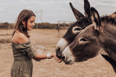 Donkey Photoshoot, 13th Birthday Photoshoot, Donkey Photography, Luling Texas, Farm Family Pictures, Sunrise Photoshoot, Farm Family, Texas Photo, Farm Photography