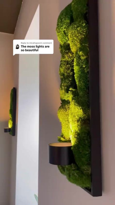 Moss Art Diy, Biophilic Furniture, Moss Picture Frame, Diy Moss Wall Art, Moss Ideas, Moss Gardens, Salon Aesthetic, Exhibit Ideas, Moss Walls