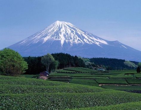 Gunung Fuji, Mount Fuji Japan, Japan Tourism, Japan Hotel, Fuji Japan, Fuji Mountain, Monte Fuji, Mont Fuji, Study Resources