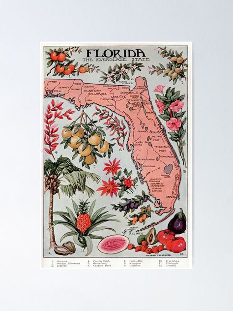 "Vintage Map of Florida (1917)" Poster for Sale by BravuraMedia | Redbubble Old Florida Decor, Florida Wallpaper, Florida Decorating, Miami Posters, Florida Poster, Arizona Map, Florida Decor, Florida Map, Vintage Arizona