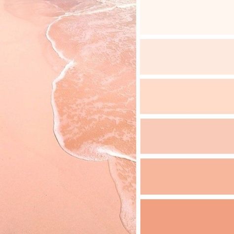 Peach Paint Colors, Peach Color Schemes, Peach Bedroom, Peach Color Palettes, Peach Paint, Background Orange, Orange Color Palettes, Color Aesthetic, Hue Color