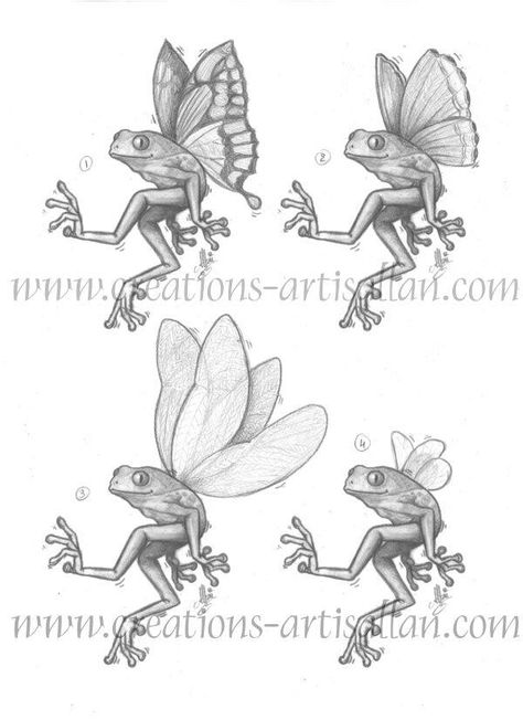 Frog And Butterfly Drawing, Flying Frog Drawing, Frog And Butterfly Tattoo, Frog With Wings Tattoo, Frog Sketches, Frog Character, Flying Frog, Frog Sketch, Wings Sketch