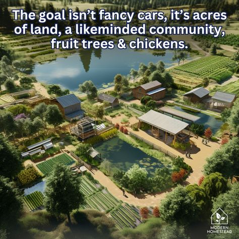 Community, fruit trees & chickens... Is that too much to ask? #modernhomestead #homestead #offgrid #offgridliving Family Compound Homestead, Multifamily Homestead, Commune Living Homesteads, Communal Living Homesteads, Homestead Community Layout, Homestead Vision Board, How To Build Community, Wooded Homestead, Modern Homestead Aesthetic