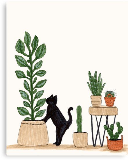 Cat Wall Prints, Hanging Plant Illustration, Cat With Plants, Plant Cat Art, Cat And Plants Art, Cat In The Garden Drawing, Cats And Plants Illustration, Soyut Sanat Tabloları, 수채화 그림