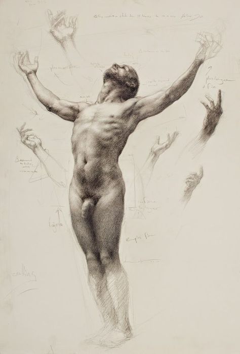 Shane Wolf Shane Wolf, Male Figure Drawing, Classical Realism, Arte Van Gogh, Charcoal Portraits, Figure Sketching, Anatomy Drawing, Figure Drawing Reference, Guy Drawing