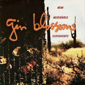 Gin Blossoms - New Miserable Experience: buy CD, Album at Discogs Gin Blossoms, Dont Expect Too Much, Top Albums, Hometown Heroes, Local Music, I Love Music, Couple Quotes, Pop Artist, Lose My Mind