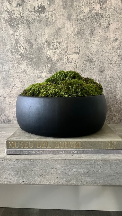 Masculine Plants Decor, Moss Arrangements Floral Design, Plants As Centerpieces, Home Plants Decor, Modern Zen Garden, Moss Bowl, Moss Centerpieces, Plant Centerpieces, Indoor Plants Styling