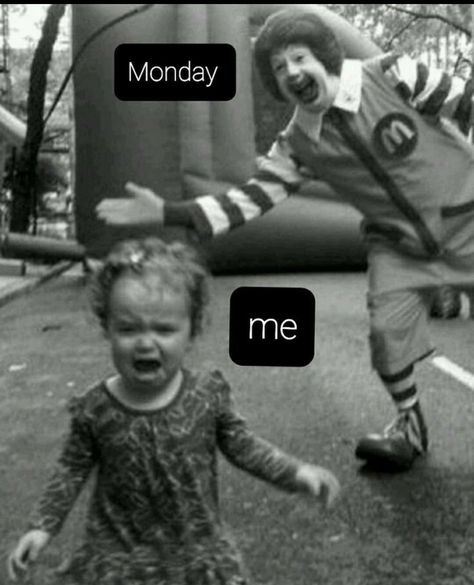 Money Humor, Workplace Humor, I Hate Mondays, Monday Memes, Monday Humor, Weekday Quotes, Monday Quotes, Work Memes, Sarcastic Quotes Funny