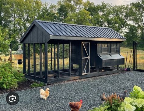 Modern Farmhouse Chicken Coop, Modern Chicken Coop Design, Large Chicken Coop Ideas, Black Chicken Coop, Luxury Chicken Coop, Chicken Coop Building Plans, Cute Chicken Coops, Chicken Coop Garden, Chicken Shed