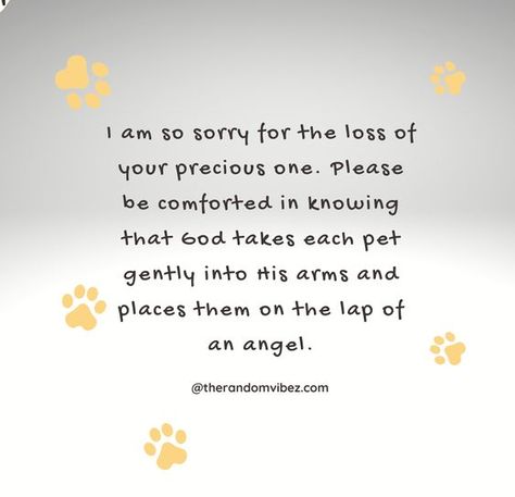 90 Sympathy Quotes For Loss Of Pet And Pet Loss Messages Saying Goodbye To A Pet Quotes, Pet Sympathy Messages, Sorry For The Loss Of Your Cat, Cat Loss Sympathy Messages, Pet Condolences Dogs Sympathy Messages, Dog Condolences Loss Of Pet Sympathy Messages, Dog Loss Sympathy Messages, Loss Of Dog Sympathy, Dog Died Quotes Sympathy