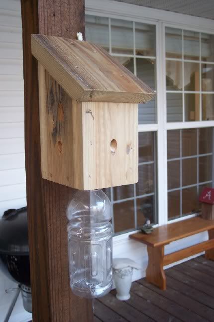 carpenter bee trap - gatorade bottle at bottom, holes drilled upward at a 45 degree angle on the sides.  Hope it works Wood Bee Trap, Bee Catcher, Bee Trap, Carpenter Bee Trap, Bee Traps, Bug Trap, Wood Bees, Carpenter Bee, 45 Degree Angle