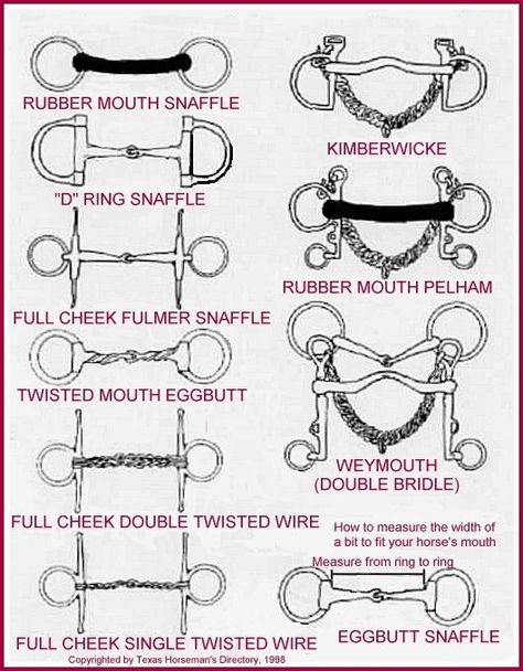 Different Types Of Bits Bits For Horses, Horse Information, Horse Facts, Horse Care Tips, Horse Info, Horse Riding Tips, Horse Anatomy, Horse Camp, Horse Training Tips