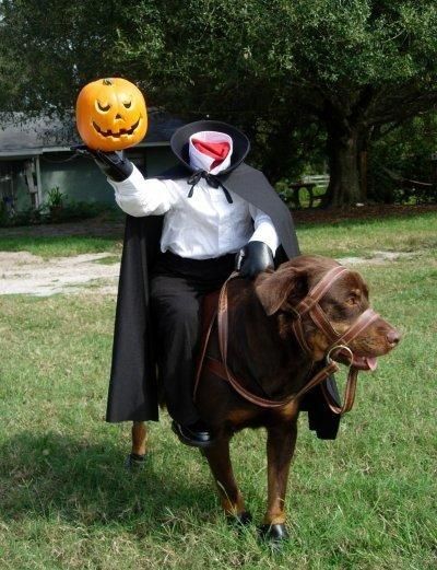 diy headless horseman dog costume - DIY Dog Halloween Costumes - Make your own Halloween costume for your dog - scary dog costumes - unique pet costume Best Dog Halloween Costumes, Funny Pet Costumes, Best Dog Costumes, Dog Costumes Funny, Halloween Fest, Homemade Costume, Headless Horseman, Pet Halloween Costumes, Dog Halloween Costumes