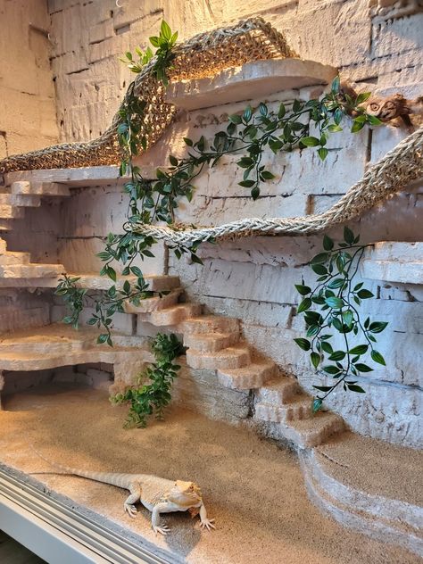 Lizard Enclosure Diy, Tank Ideas Reptile, Lizard Room Ideas, Reptile Room Ideas Diy, Built In Reptile Enclosure, Reptile Cabinet Diy, Tall Bearded Dragon Enclosure, Beard Dragon Terrarium, Reptile Terrarium Ideas Diy