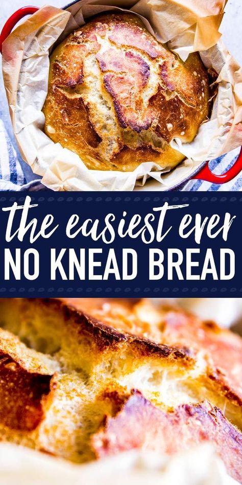 Essen, No Knead Bread Recipe, Dutch Oven Bread, Knead Bread Recipe, Knead Bread, Best Bread Recipe, Dutch Oven Recipes, No Knead Bread, No Knead