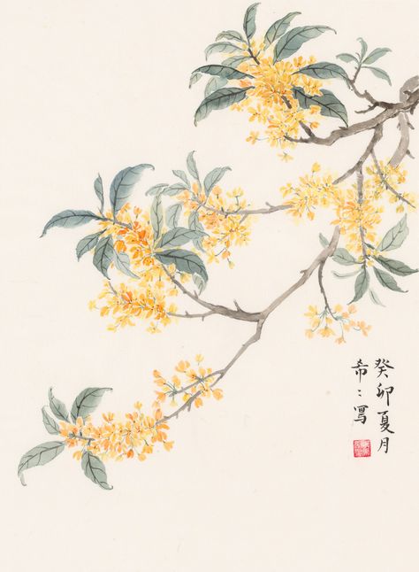 Chinese Floral Painting, Osmanthus Flower Tattoo, Chinese Flower Painting, Chinese Painting Traditional, Osmanthus Flower, Chinese Tree, Chinese Painting Flowers, Chinese Ink Painting, Chinese Flowers