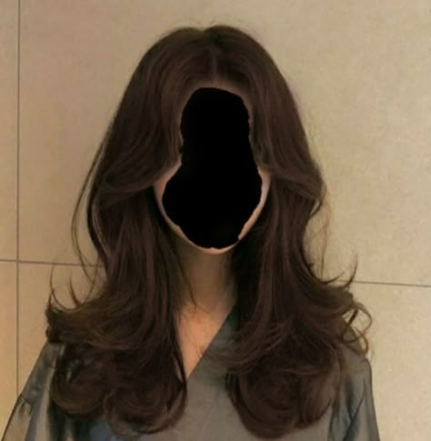 Long Layer Curtain Bangs Brown Hair, Aesthetic Layered Hair, Butterfly Haircut 2022 Long, Skunk Hair Wolf Cut, Butterfly Haircut Straight Hair, Wolf Cut Medium Hair, Butterfly Layers Hair, Butterfly Layers Haircut, Butterfly Cut Hair