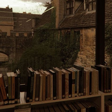 Dark Academia Aesthetic Books, Dark Academia Widget, Dark Acadamia, Chaotic Academia, Aesthetic Dark Academia, Library Aesthetic, Victorian Aesthetic, Dark Academia Aesthetic, The Secret History