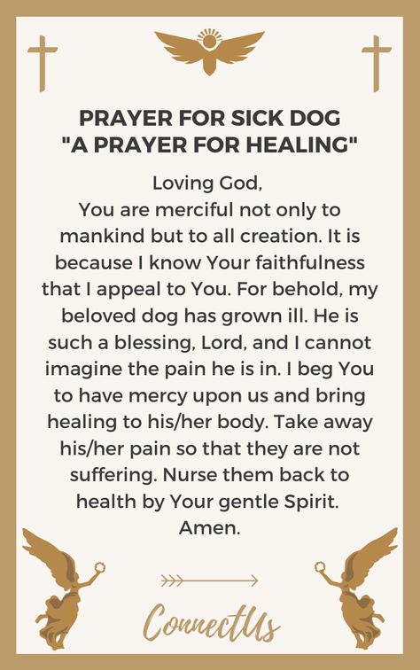 Prayer For Sick Dog, Prayers For Family Protection, Inspiration Messages, Uplifting Prayers, Prayer For Finances, Prayer For The Sick, Prayer For Wisdom, Prayer For Baby, Prayer For Love